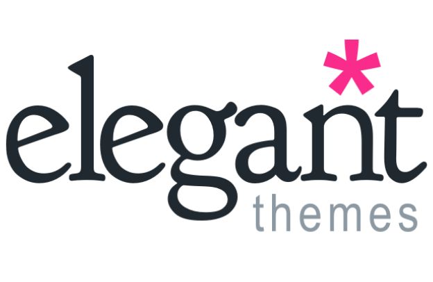 Why Elegant Themes For Your Online Business