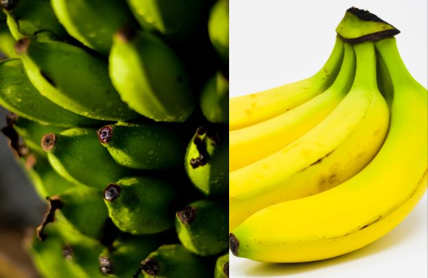 Plantain Vs Banana - What Are The Differences And What You Need To Know