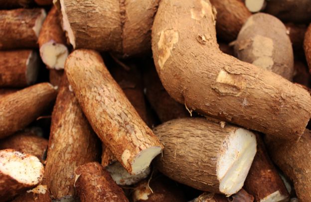 What Are the Benefits of Cassava