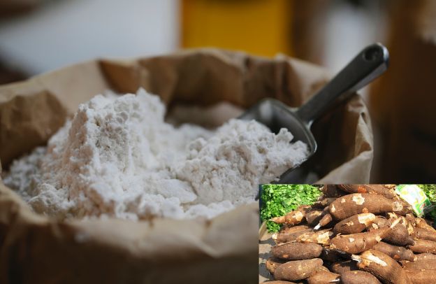 What Are the Top Cassava Products in Nigeria?