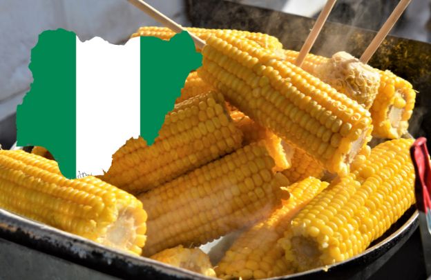 How To Produce Maize In Nigeria