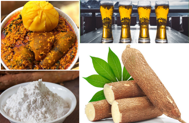 11 Great Industrial Uses Of Cassava You Didn’t Know Of