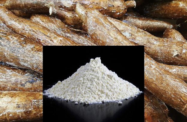 Cassava Processing: Unlocking Wealth and Food Security in Nigeria and Africa