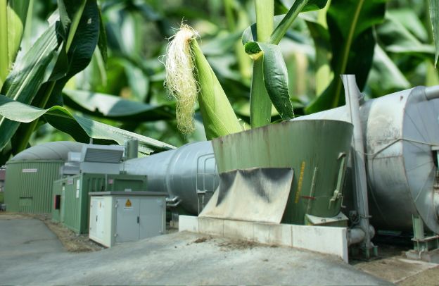 How To Process Maize For Biogas Production