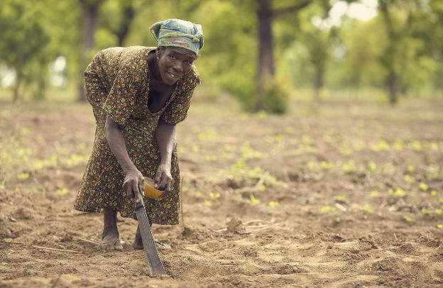 From Subsistence to Profit: Success Stories of Small and Medium-Scale Farmers in Nigeria