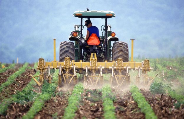 Innovative Farming Techniques for Small and Medium-Scale Farmers in Nigeria