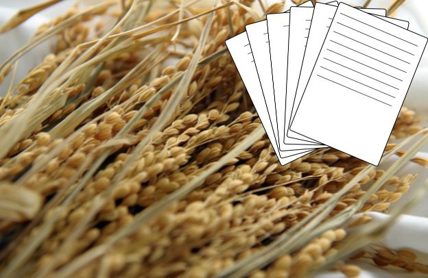 Cultivating Rice for paper production