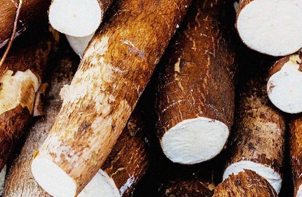 Managing Water Resources in Cassava Farming: Tips for Small-Scale Farmers in Nigeria