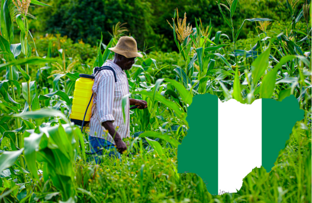 The Nigerian Agricultural and Agribusiness Potential: Unlocking Opportunities for the African Diaspora