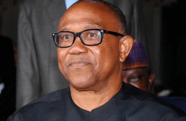 Top 35 Best Quotes Of Peter Obi, The True Leader Nigerian People Wanted