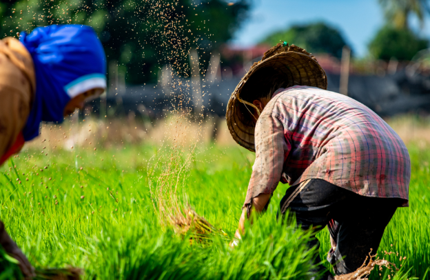 Financing Africa’s Agribusiness Revolution: A Trillion-Dollar Investment Opportunity