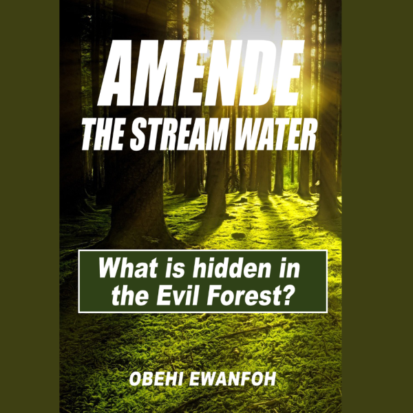 AMENDE The Stream Water