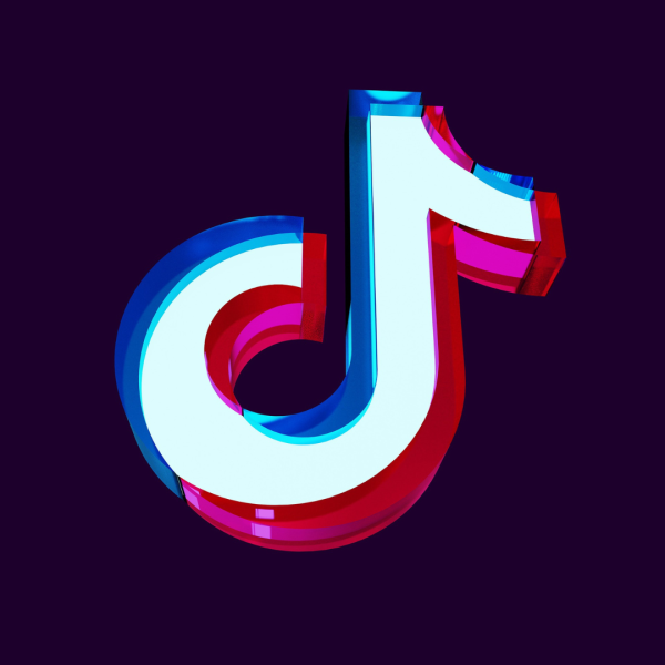 TikTok Course Bundle to Lead In Social Media Marketing