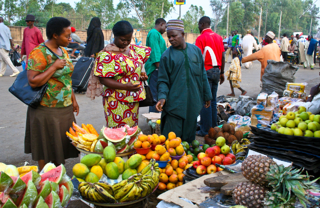 The Challenges of Agriculture in My Beautiful Jos, Plateau State, Nigeria