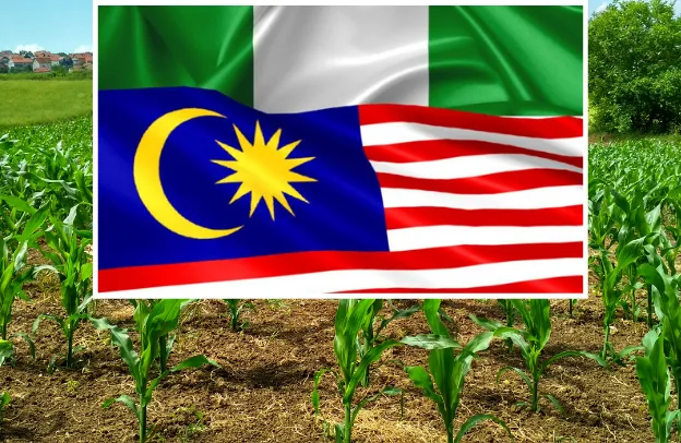 A Comparative Study of the Agriculture Sector Contribution to the Economic Growth of Nigeria and Malaysia