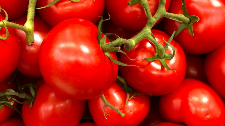 A Purple Tomato for your Home Garden that makes you Healthier