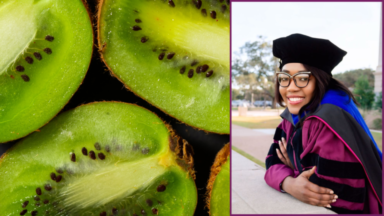 Kiwifruits Now Stand A Chance Against Canker Plant Disease!