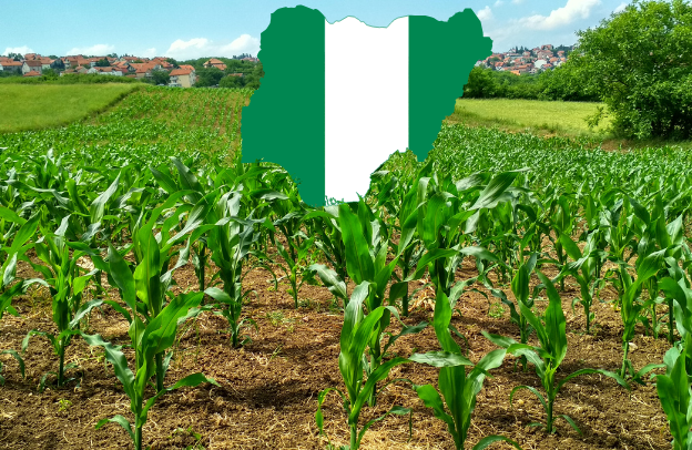 European Modern Studies Journal: Impact of Human Development Indices on Agricultural Output in Nigeria – Research Paper