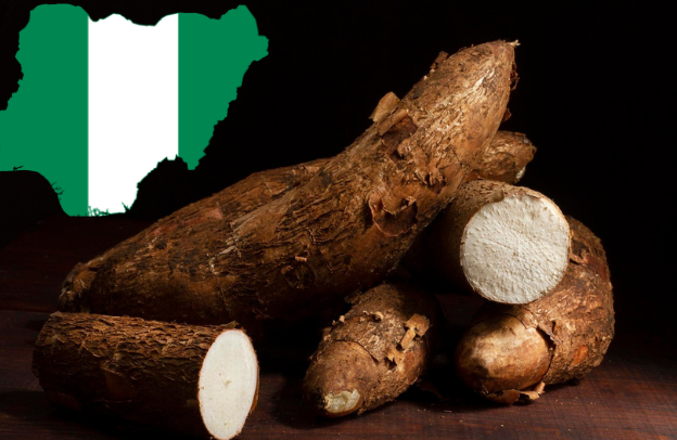 Nigerian Cassava Production: How to Transform a Staple Crop into Africa’s Economic Powerhouse