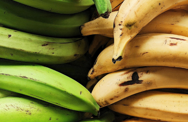 Building a Strong Brand Identity for Plantain: Standing Out in a Competitive Market