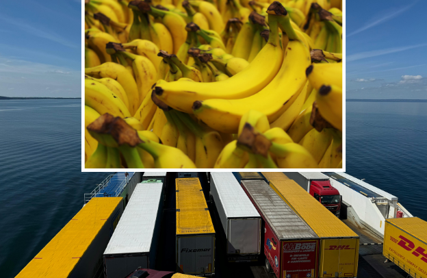 Exporting Plantain Products: Marketing Strategies for Entering the Global Market