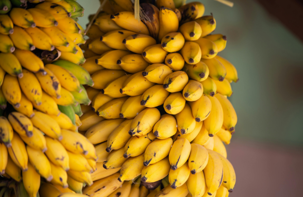 Plantain: How Agri-Entrepreneurs Can Capitalize on an Untapped Potential