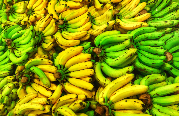 Plantain as a Solution to Food Security in Africa: Ensuring Sustainable Agriculture