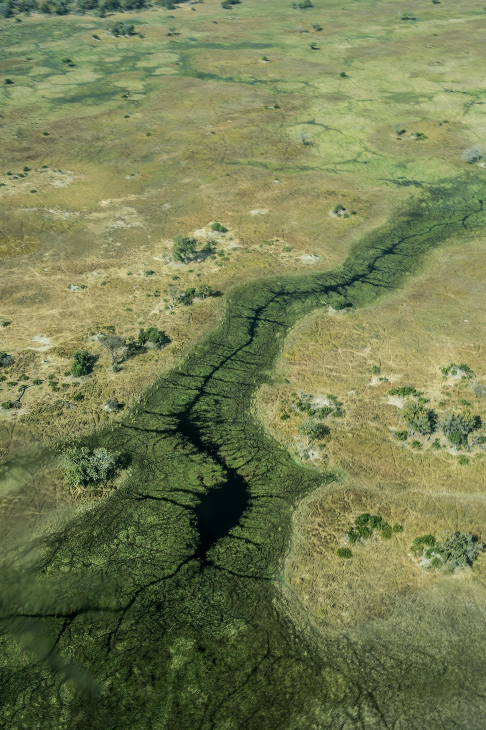 Stunning aerial view of a grassland landscape featuring a winding water channel.