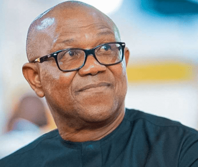Peter Obi’s Companies and Investments: An Example of Market Entry for Diaspora Founders