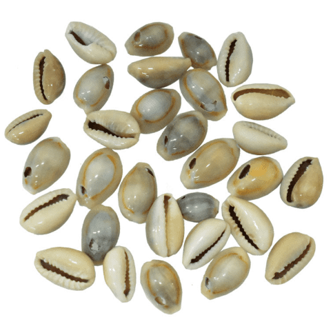 The Sacred Architecture of Inquiry: Divination in Esan Spirituality 