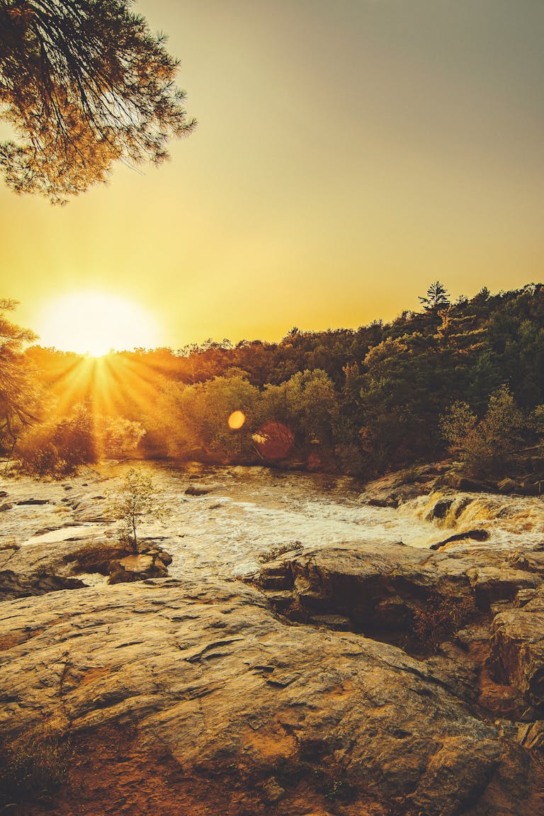 Stunning sunset over a rocky river surrounded by lush greenery and sunbeams creating a serene landscape.